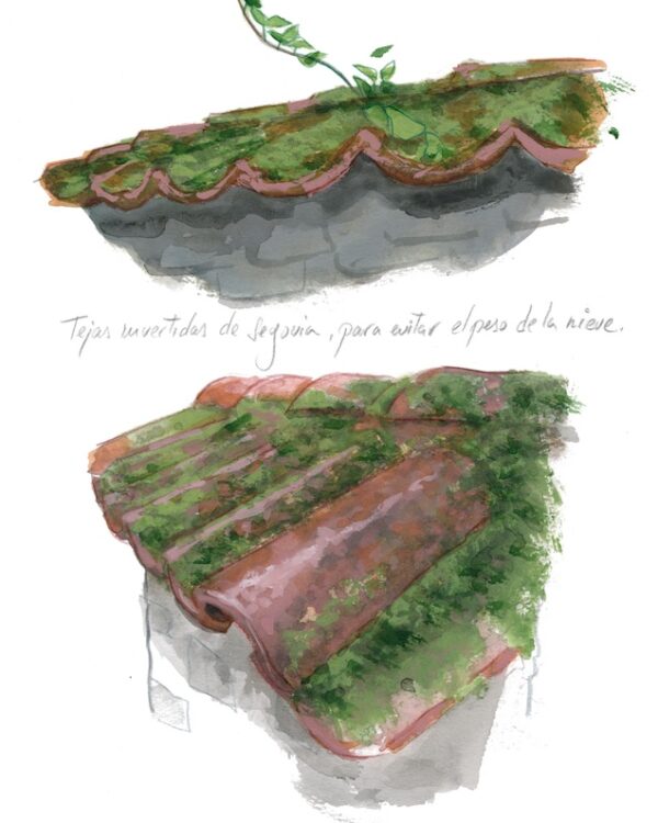 Tejas invertidas de Segovia