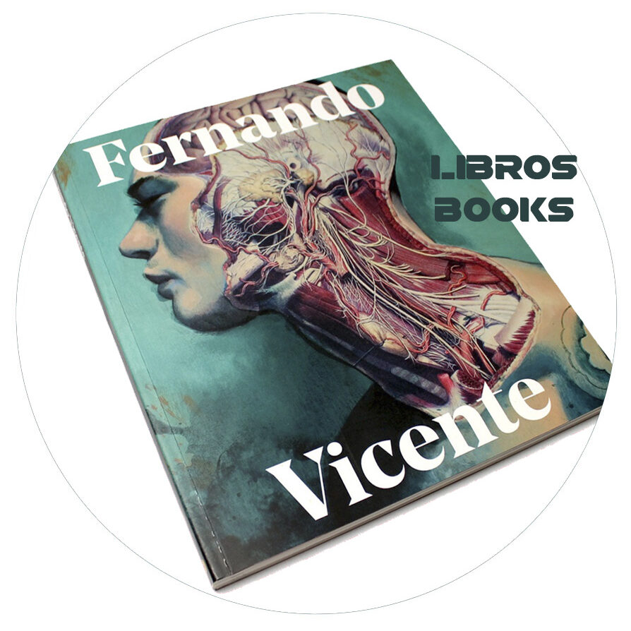 LIBRO Fernando Vicente Libros Books LIBRO Fernando Vicente Libros Books